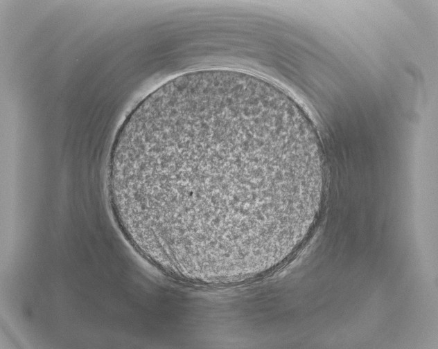 X0000115371525200912151408