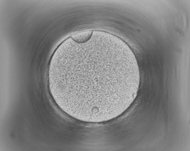 X0000115371526200912151408