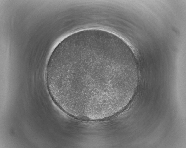 X0000115371527200912151408