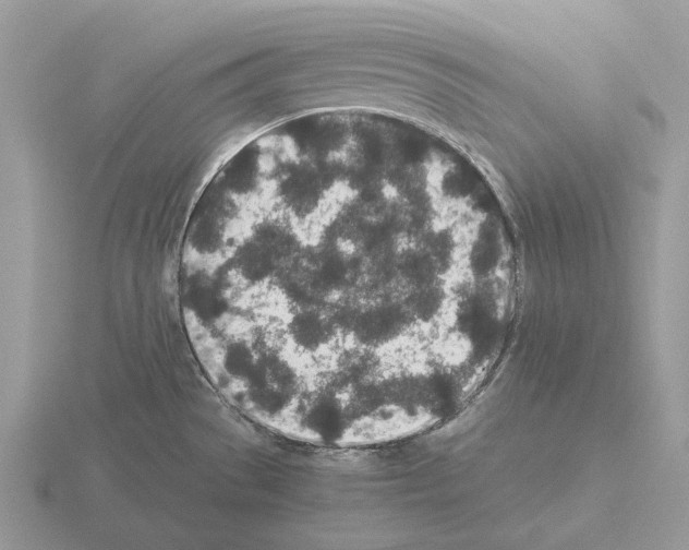 X0000115371529200912151408