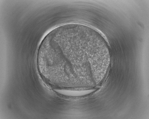 X0000115371530200912151408