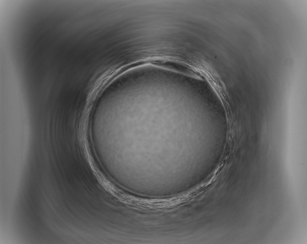 X0000115380001200911101316