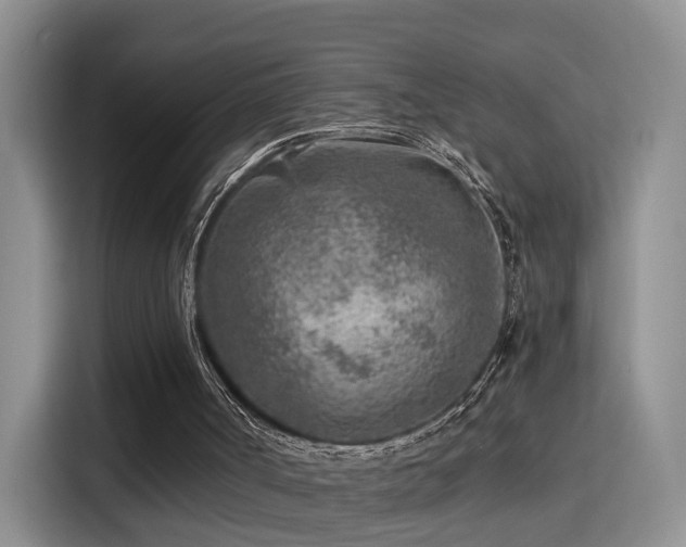 X0000115380002200911101316