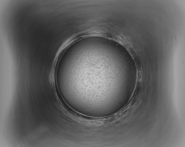 X0000115380004200911101316