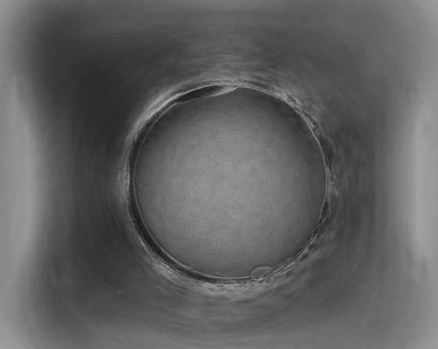 X0000115380005200911101316
