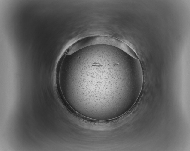X0000115380008200911101316