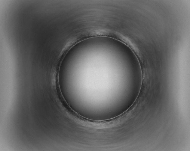 X0000115380010200911101315