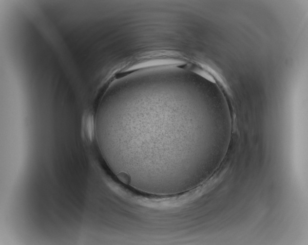 X0000115380013200911101315