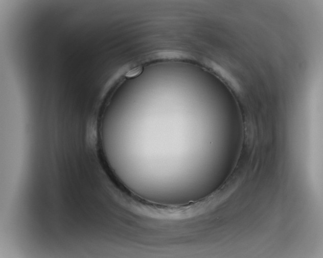X0000115380015200911101315