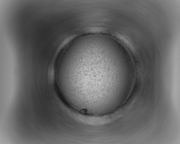 X0000115380016200911101315