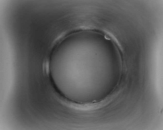 X0000115380019200911101315