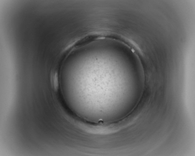 X0000115380020200911101315