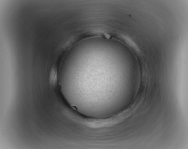 X0000115380021200911101315
