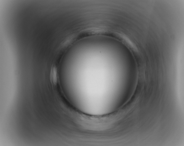 X0000115380022200911101315