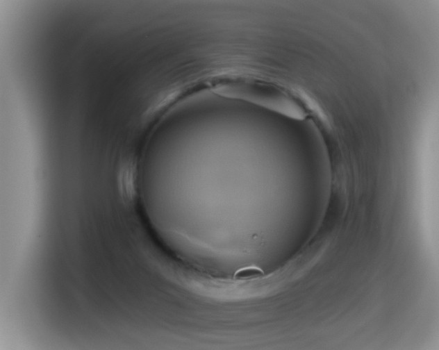 X0000115380023200911101315