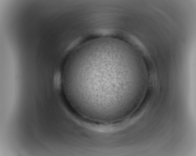 X0000115380024200911101315
