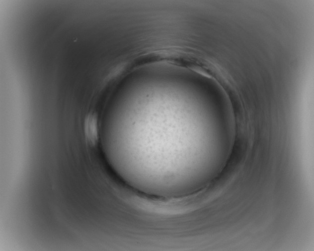X0000115380028200911101315