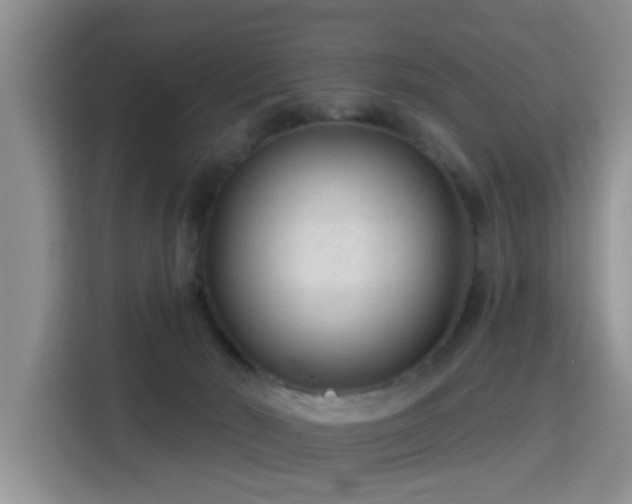 X0000115380030200911101315