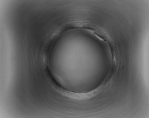 X0000115380031200911101315