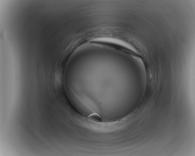 X0000115380035200911101315