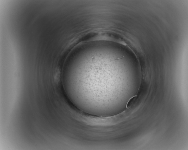 X0000115380036200911101315