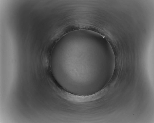 X0000115380039200911101315