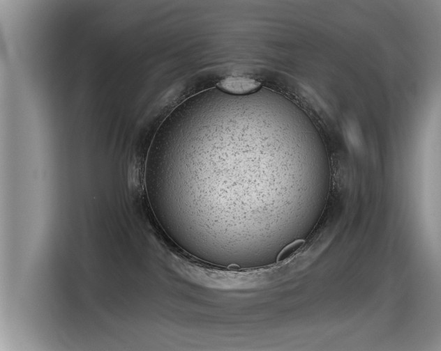 X0000115380044200911101315