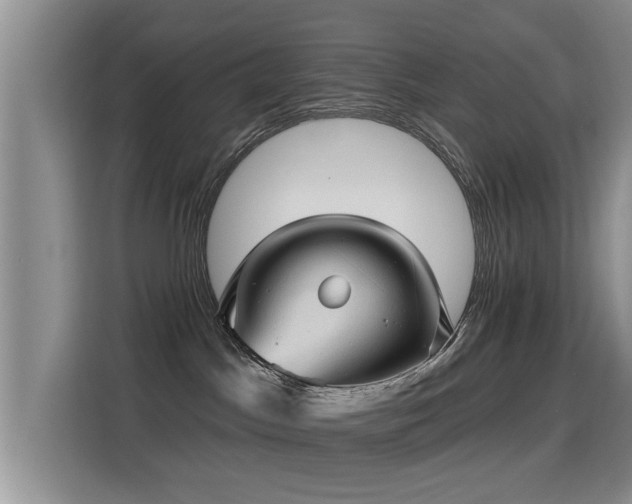 X0000115380045200911101315