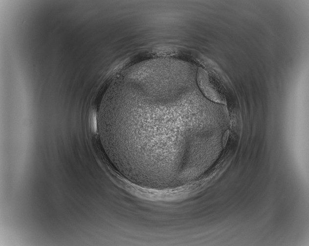 X0000115380046200911101315