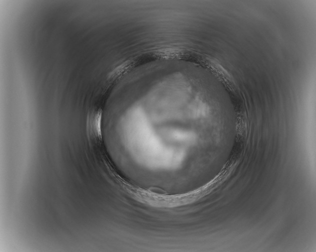 X0000115380047200911101315