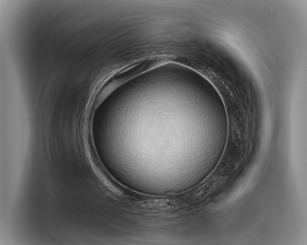 X0000115380049200911101314