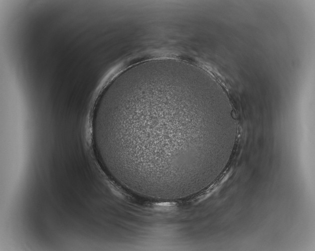 X0000115380053200911101314