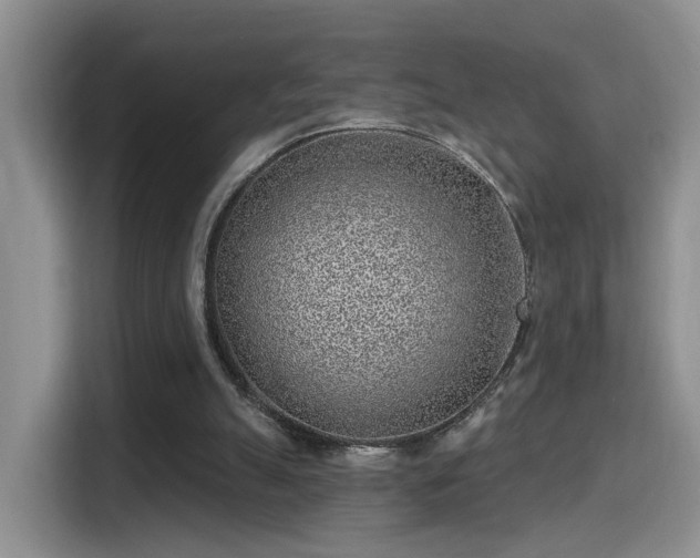 X0000115380055200911101314