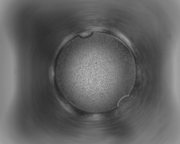 X0000115380059200911101314