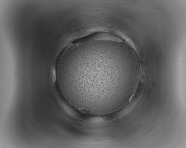 X0000115380061200911101315