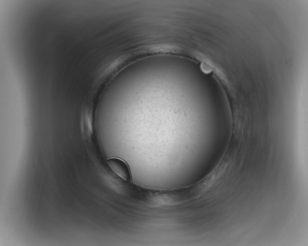 X0000115380062200911101315