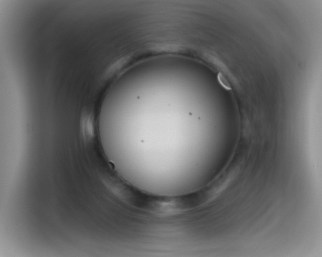 X0000115380068200911101315