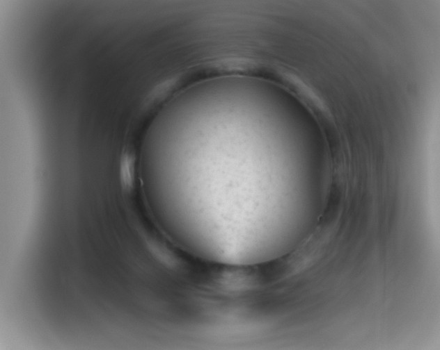 X0000115380070200911101315