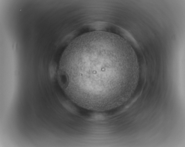X0000115380073200911101315