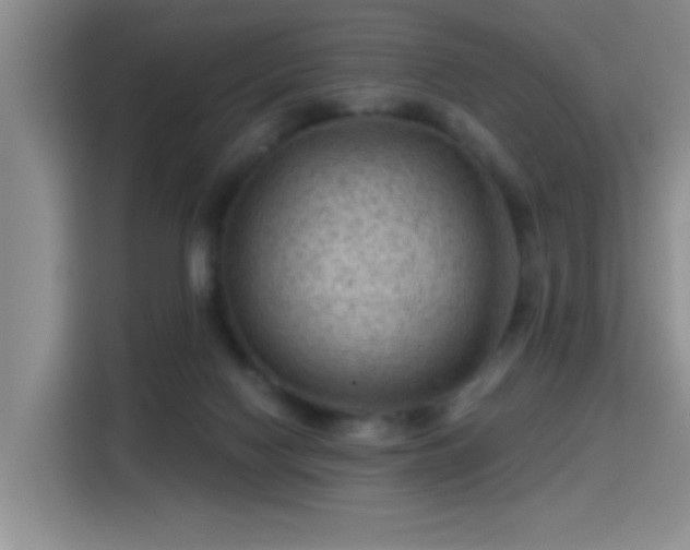 X0000115380074200911101315