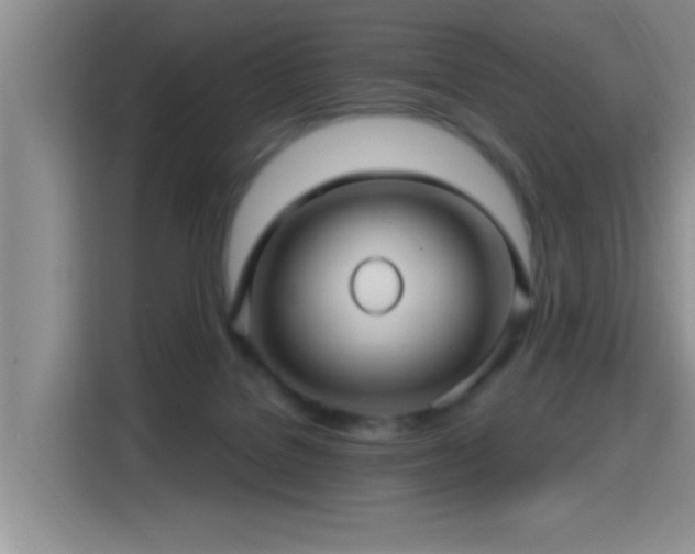 X0000115380076200911101315