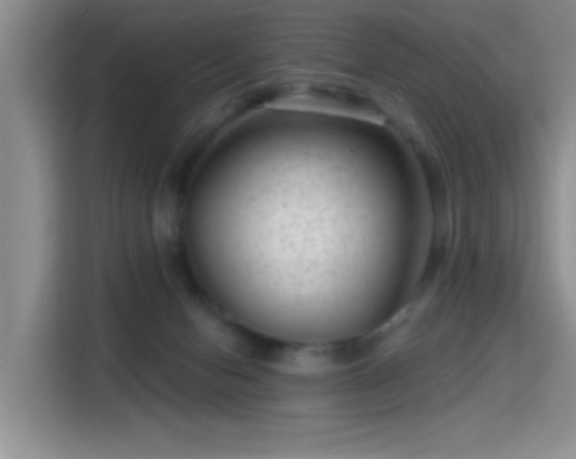 X0000115380078200911101315
