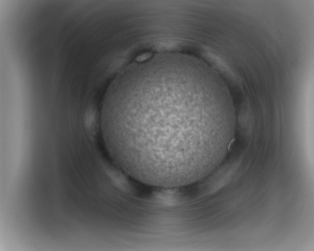 X0000115380079200911101315
