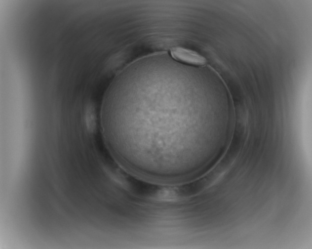 X0000115380080200911101315