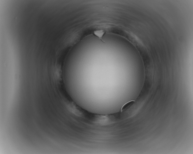 X0000115380083200911101315