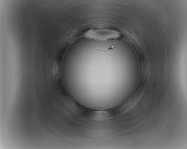 X0000115380087200911101315