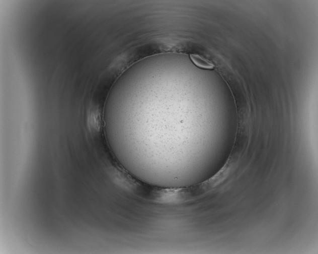 X0000115380090200911101315
