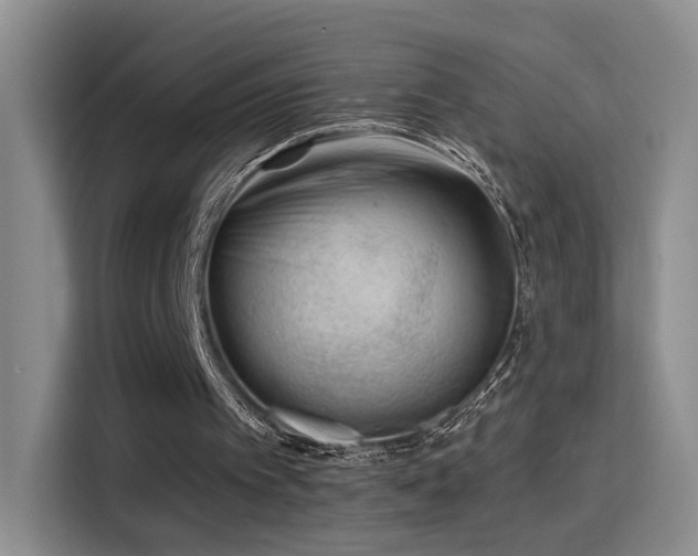 X0000115380097200911101314