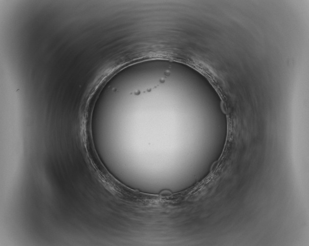X0000115380098200911101314