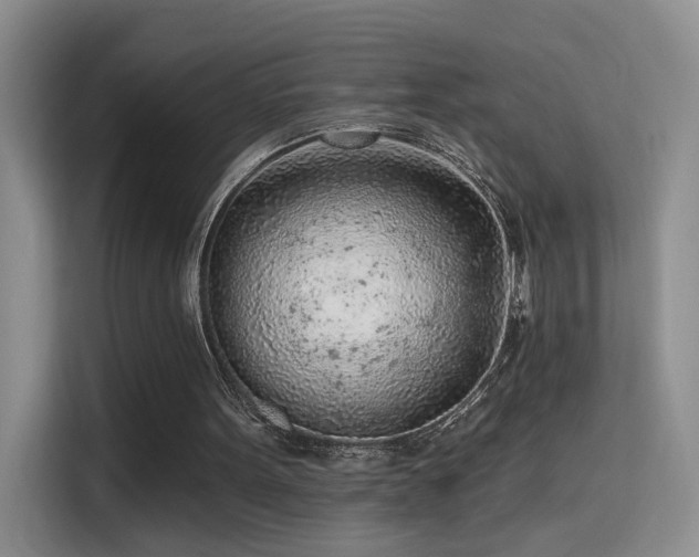 X0000115380099200911101314